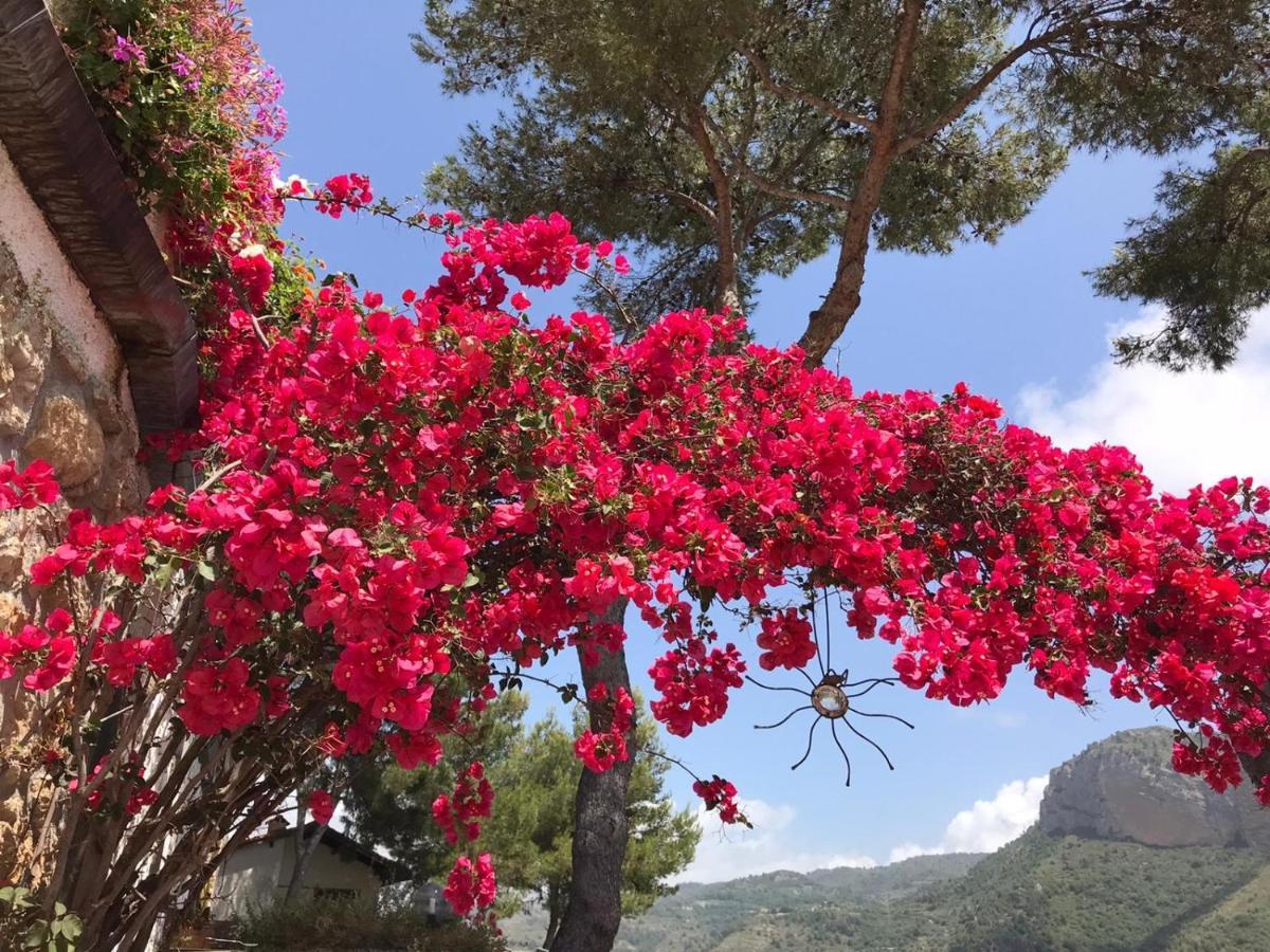 Villaggio Turistico Da Tonino Seglia San Bernardo ภายนอก รูปภาพ